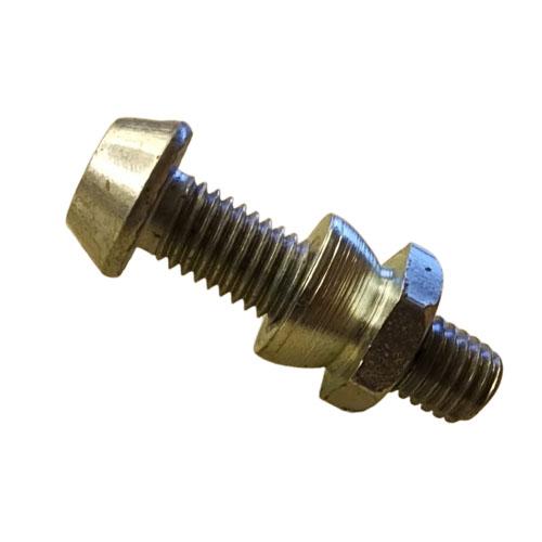 Anti-Theft Bolt